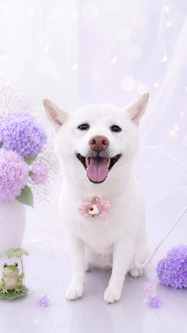 もちちゃん♡