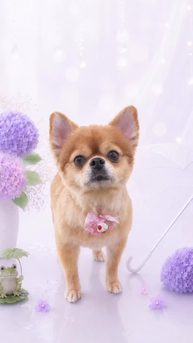 ゆずちゃん♡