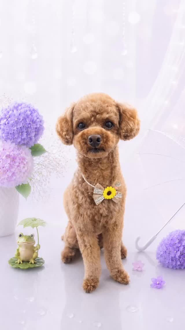 ピノちゃん♡