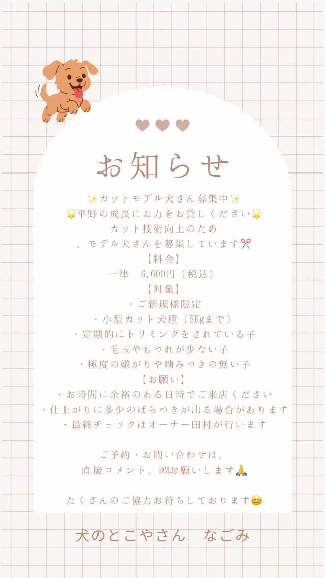 🌱平野の成長を一緒に見守ってくださる方募集中🌱