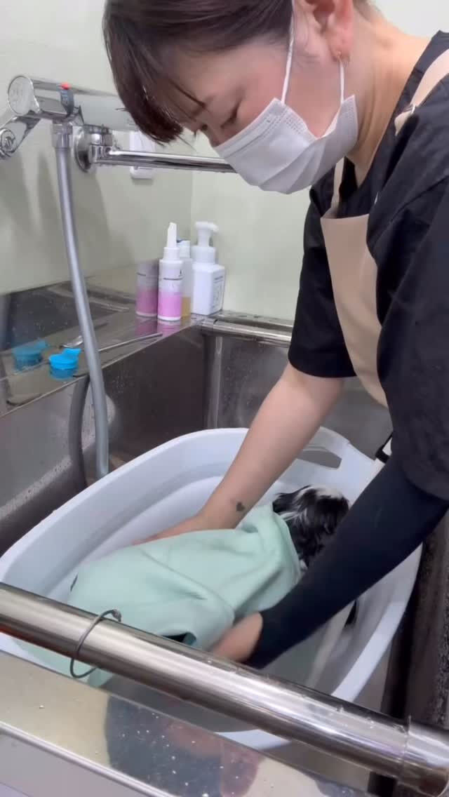 モデル犬さんにご協力いただきまして、ありがとうございました🌟