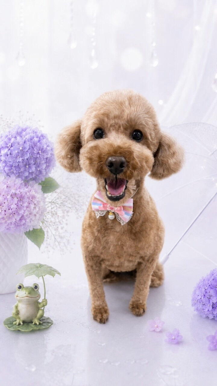 むぎちゃん🐶