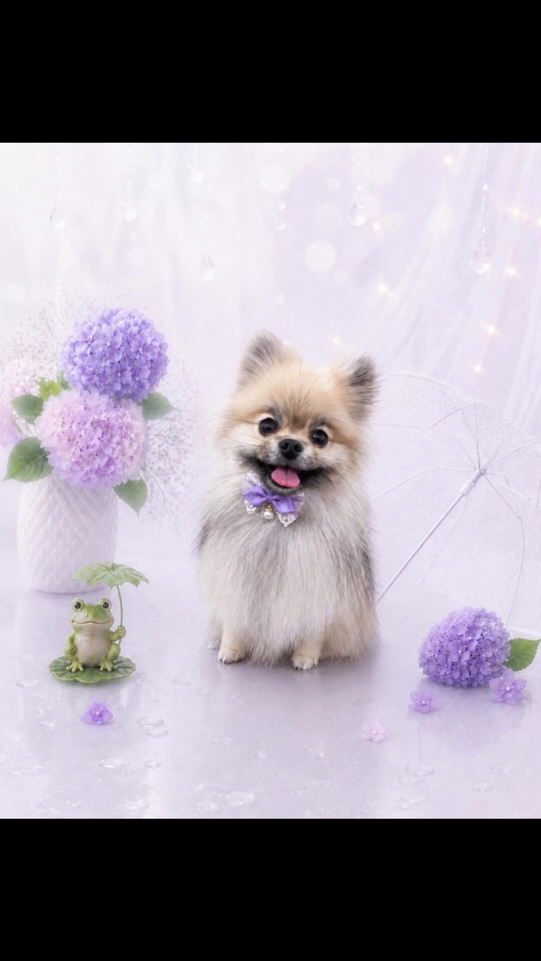 シャンプーコースでご来店のるるちゃん🐶