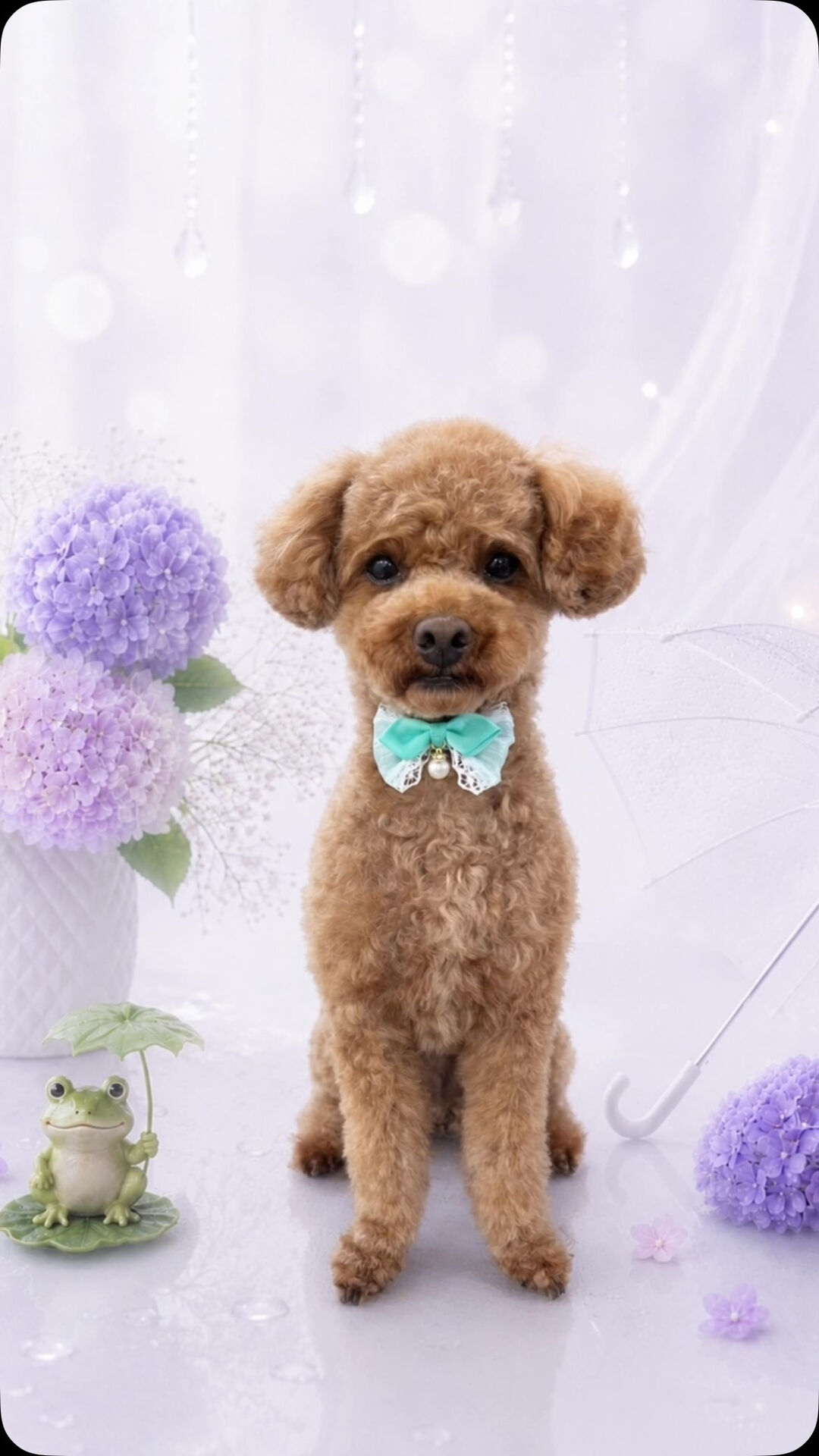 シャンプーコースでご来店のピノちゃん🐶