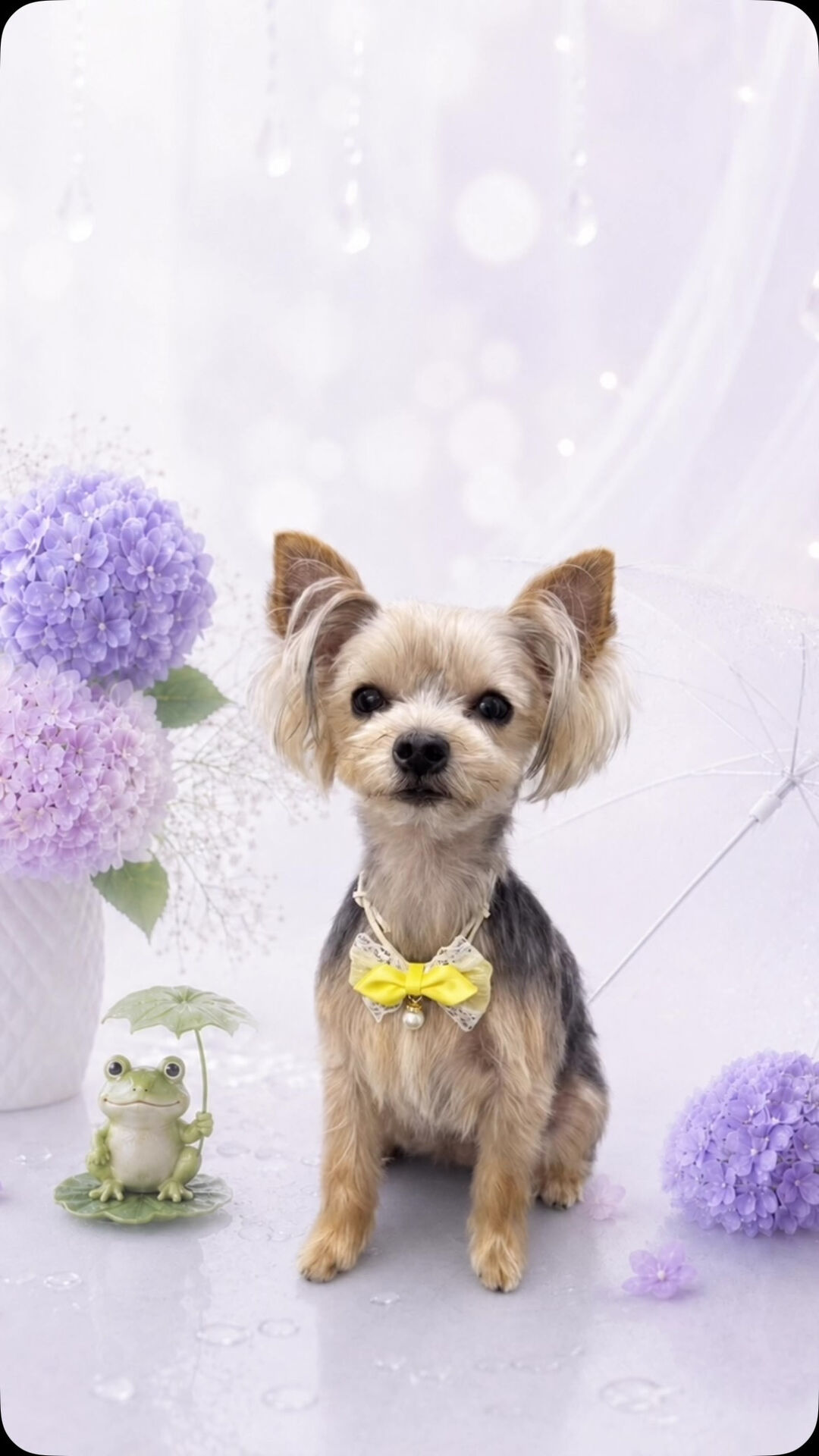 シャンプーコースでご来店のリタちゃん🐶
