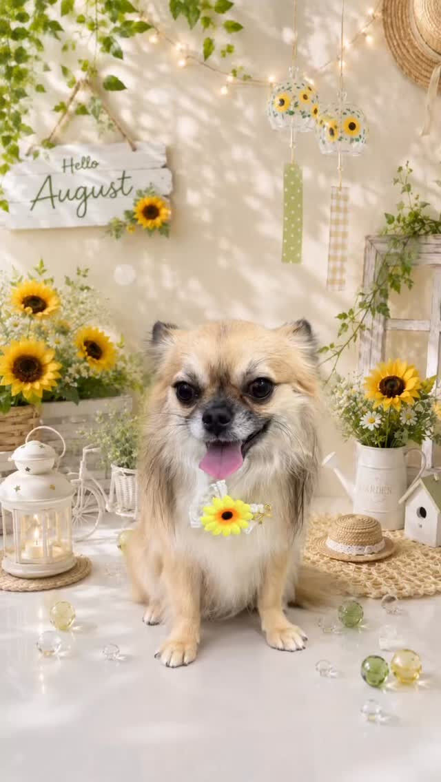 ルイちゃん🐶