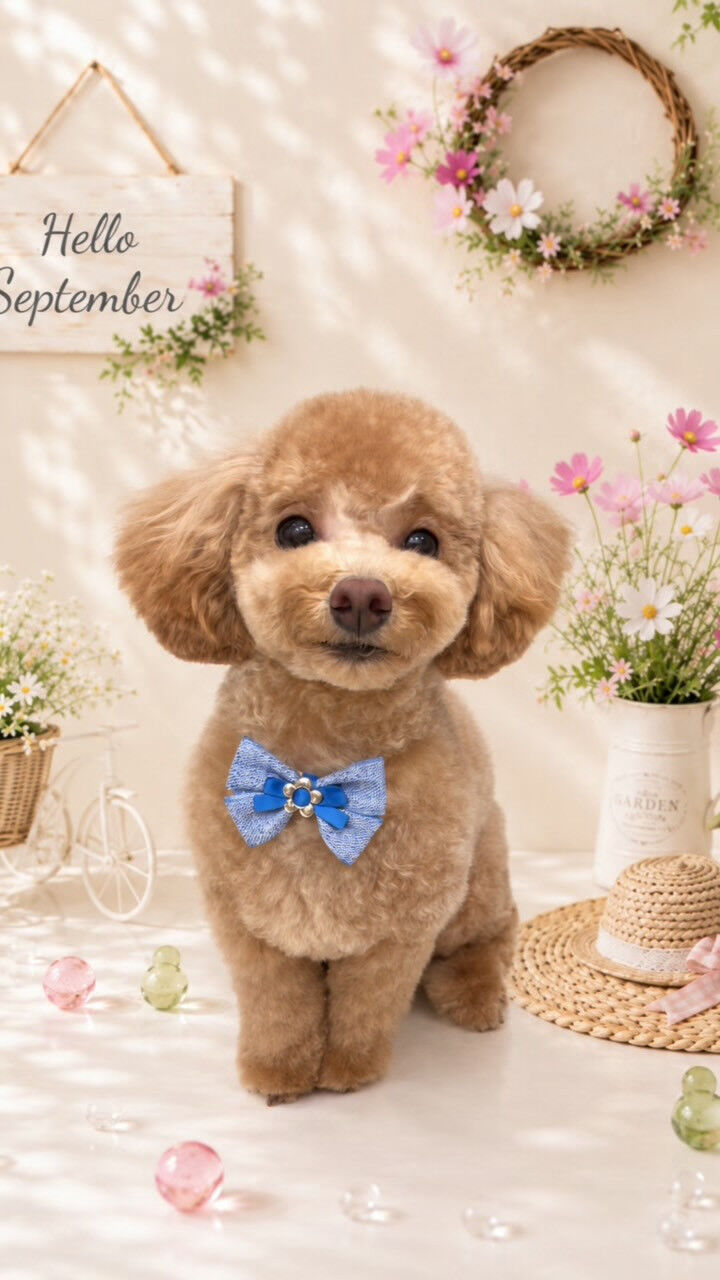 あめちゃん🐶
