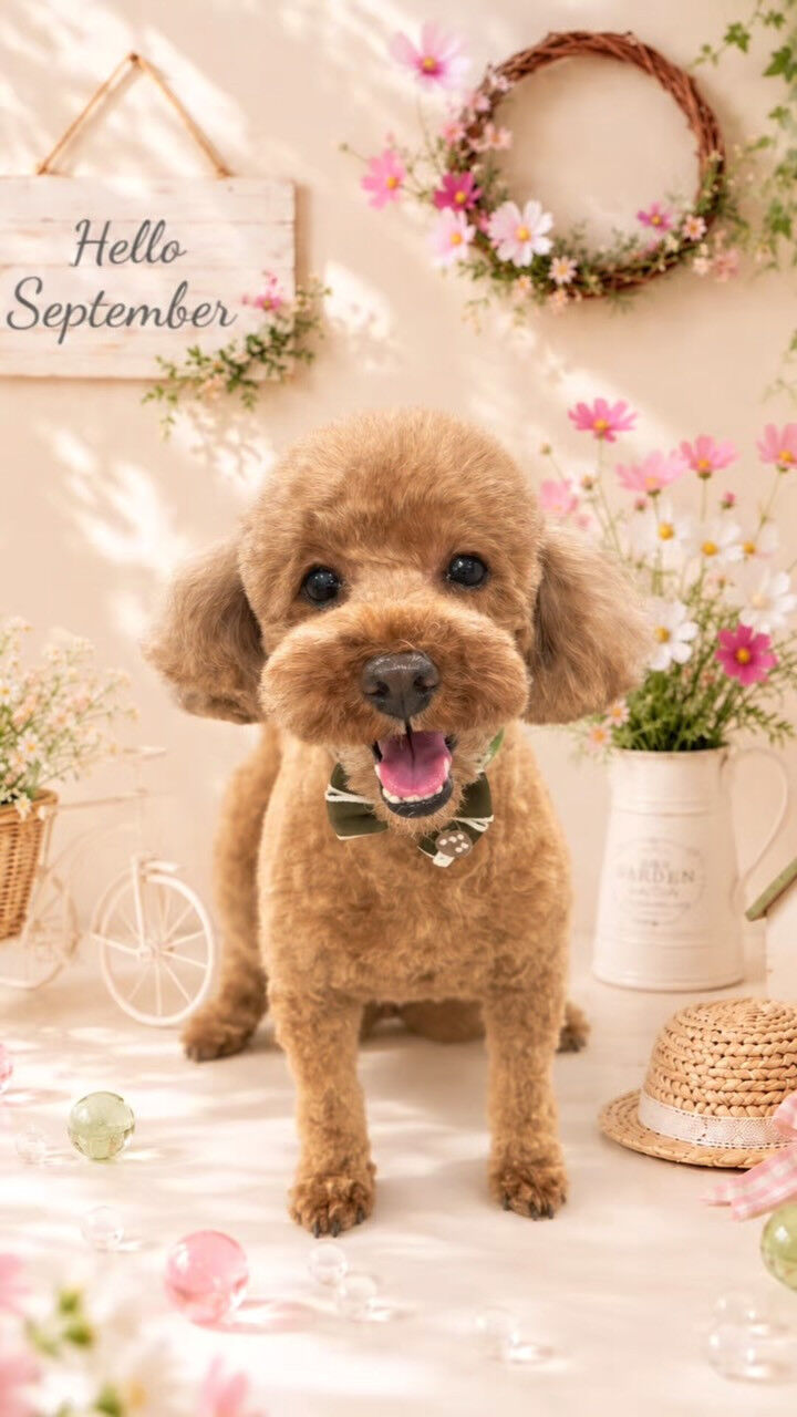 むぎちゃん🐶