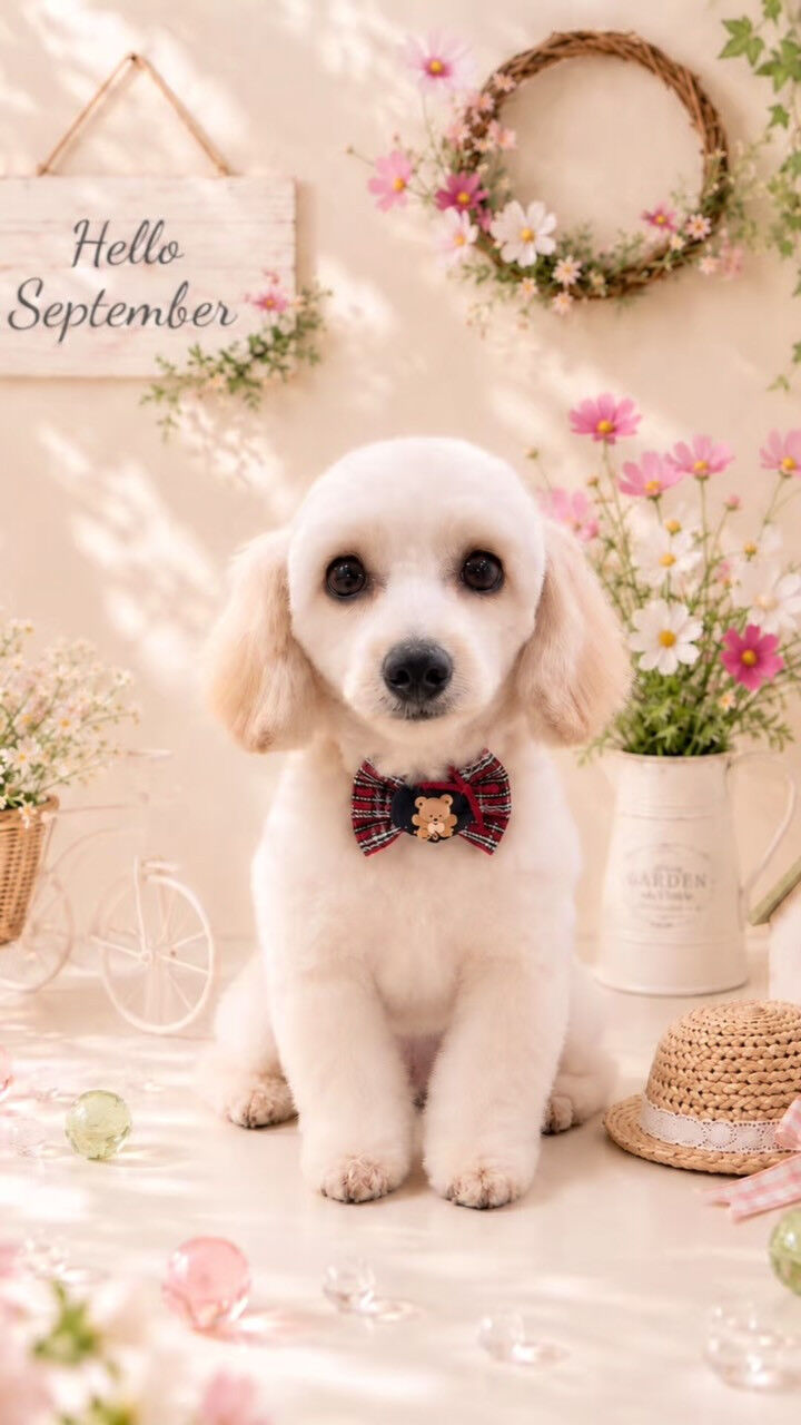 はなちゃん🐶