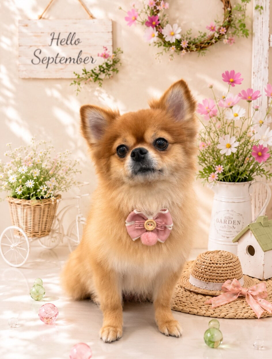 ゆずちゃん🐶